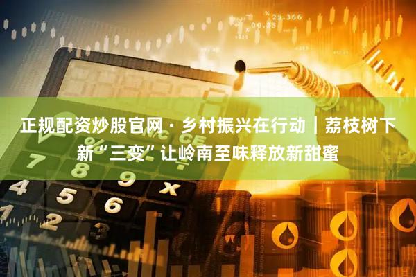 正规配资炒股官网 · 乡村振兴在行动｜荔枝树下新“三变”让岭南至味释放新甜蜜