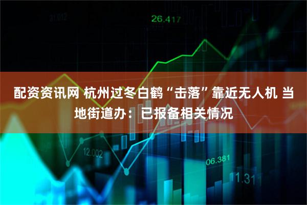 配资资讯网 杭州过冬白鹤“击落”靠近无人机 当地街道办：已报备相关情况